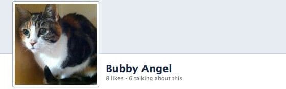 Angel On Facebook