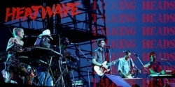 Talking Heads @ Heatwave Festival 1980 17