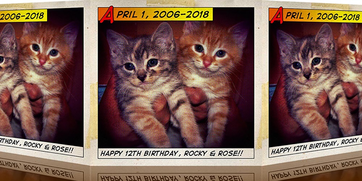 Rock & Ro!! Birthday: Rocky And Rose @ 12 1