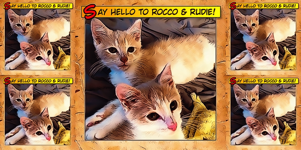 Say Hello To Rocco & Rudie 1